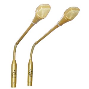 V8-RI-1-Gold-stage-3